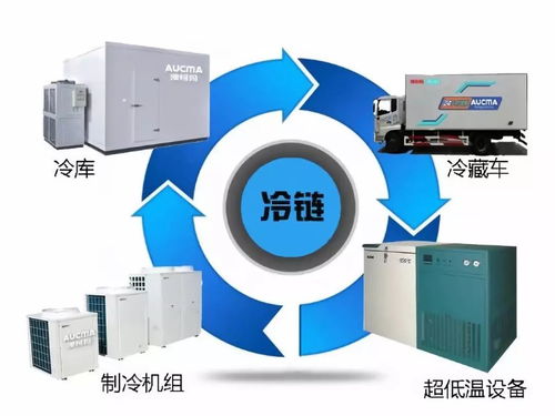 張迎新 我與中國冷鏈物流這三十年